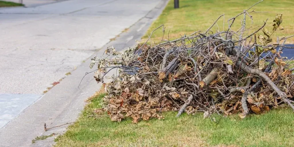 Yard Waste Removal in Vancouver, BC