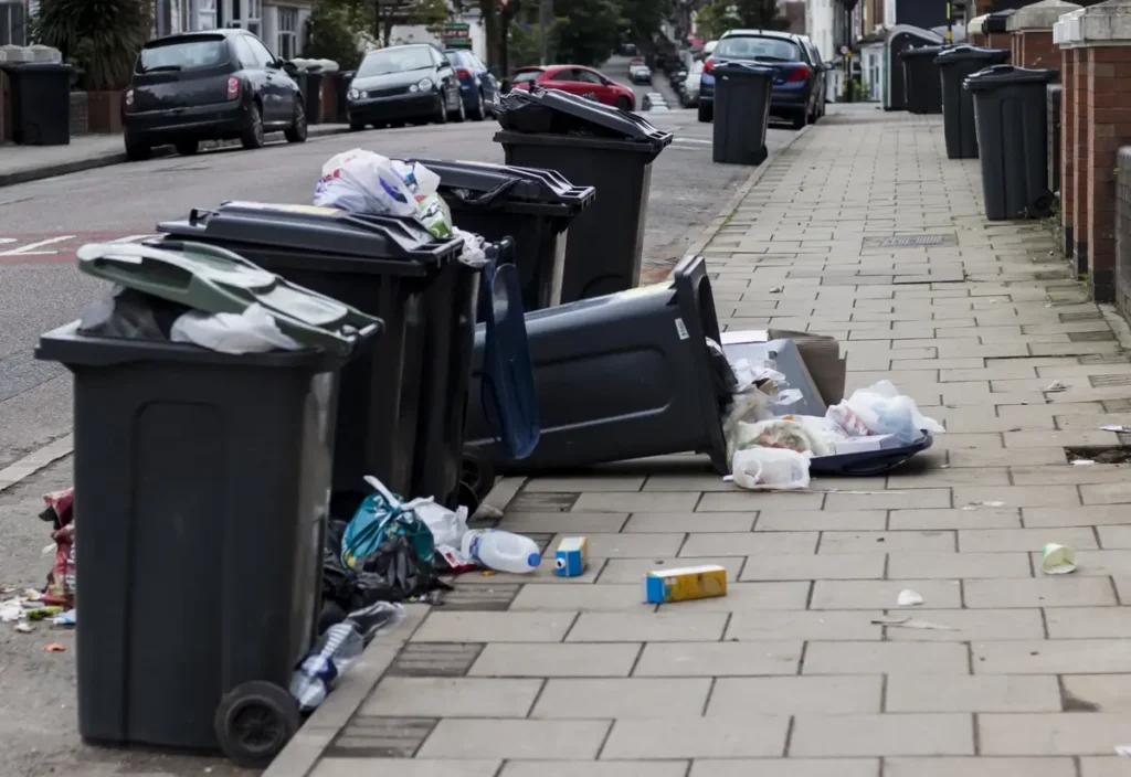 Moving Junk Removal in Vancouver BC